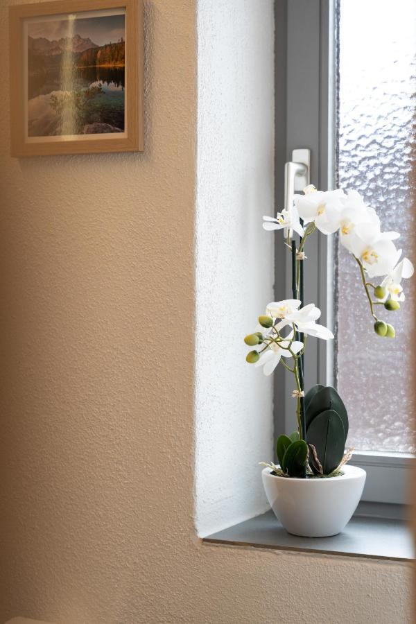 Ferienwohnung Wendelstein Киферсфельден Экстерьер фото